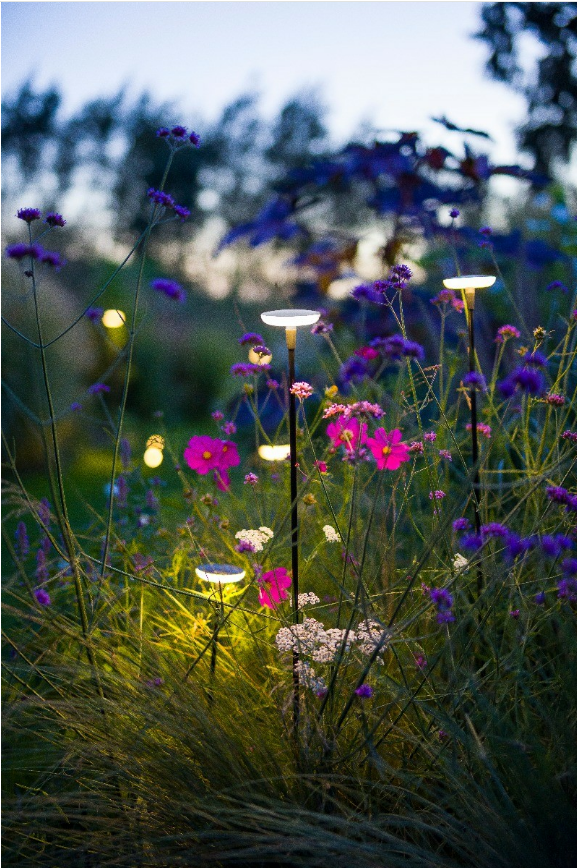 Leuchtmittel 12V für SWAY