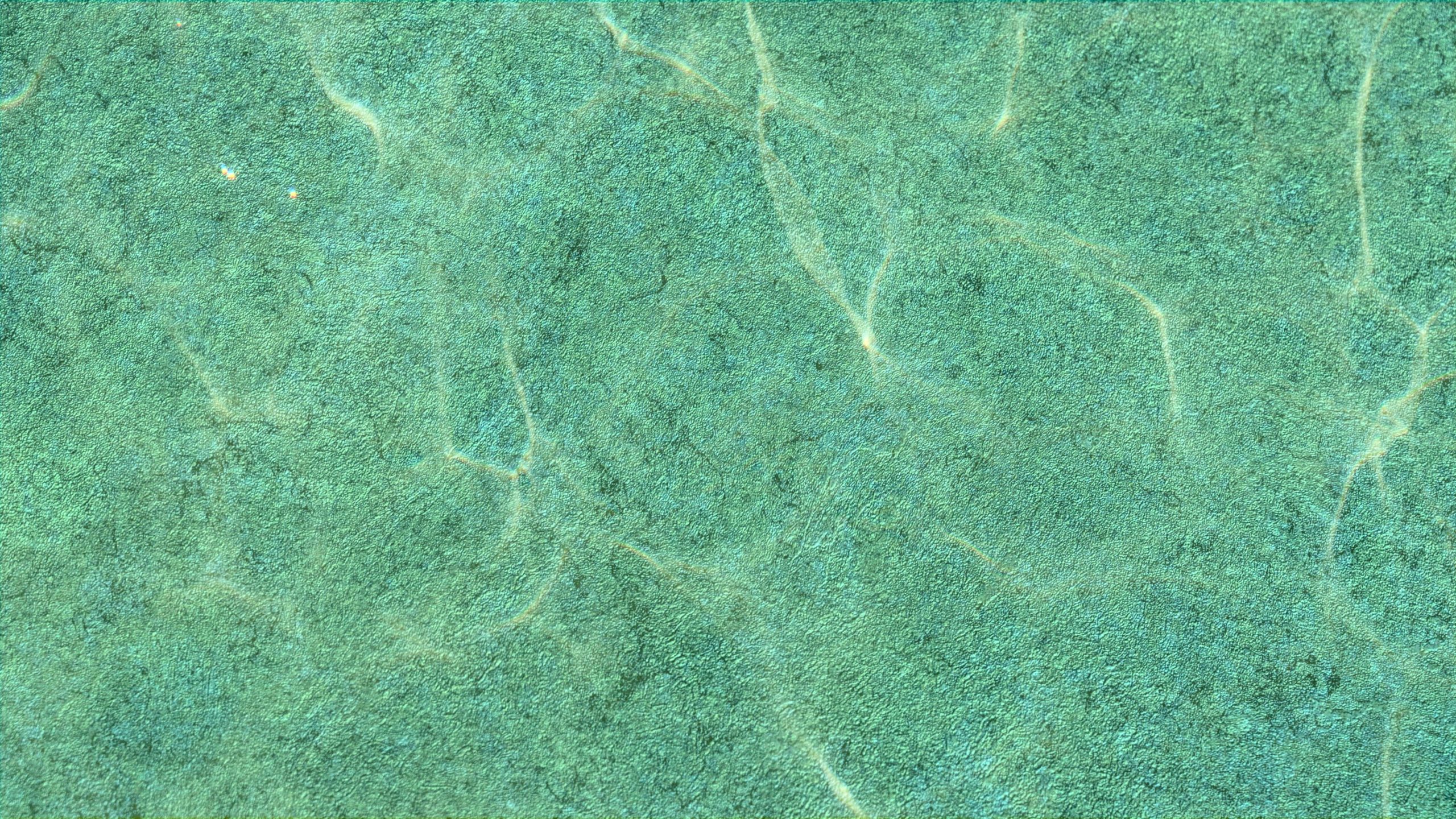 Poolfolie PVC Solid Stone Amber