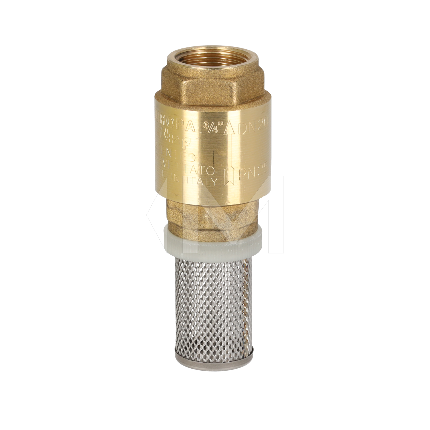 MS Fußventil IG, Europa